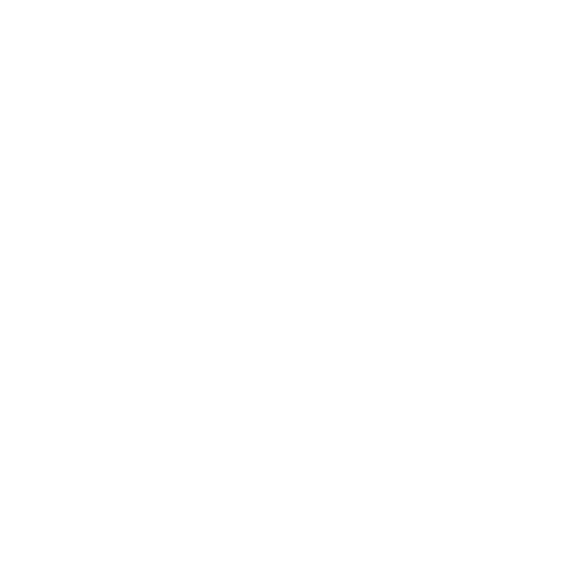 LIMITED LIABILITY <br>COMPANIES (LLC)